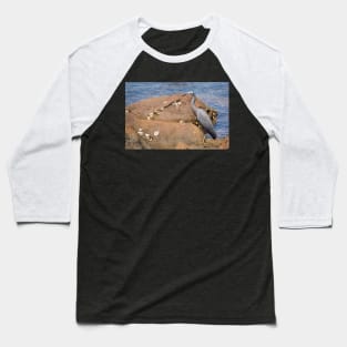 heron at the beach Baseball T-Shirt